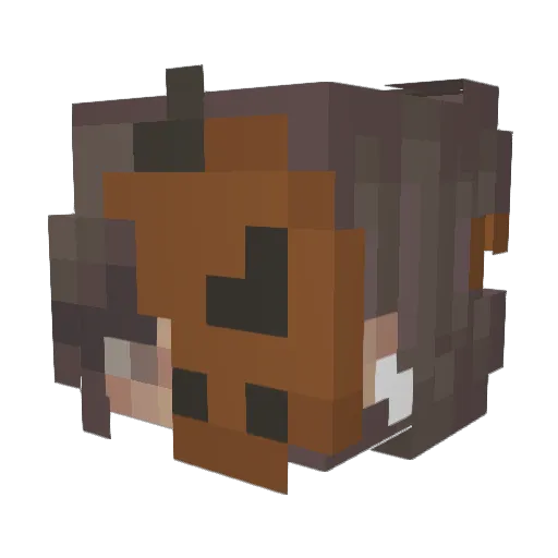 zoinkme Minecraft avatar head, 3D render