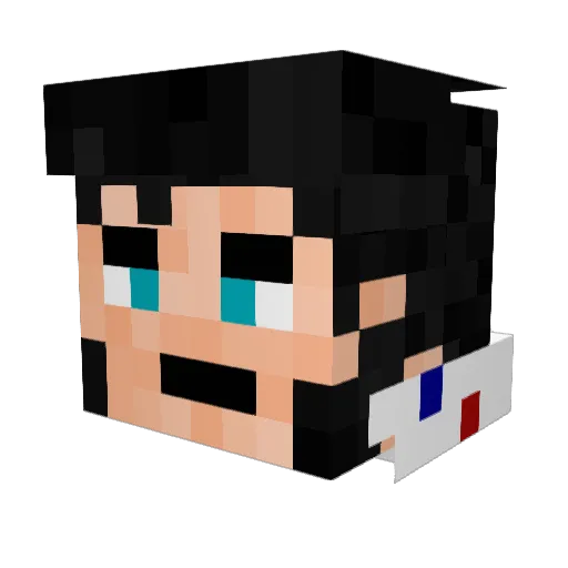 zoinkz22 Minecraft avatar head, 3D render
