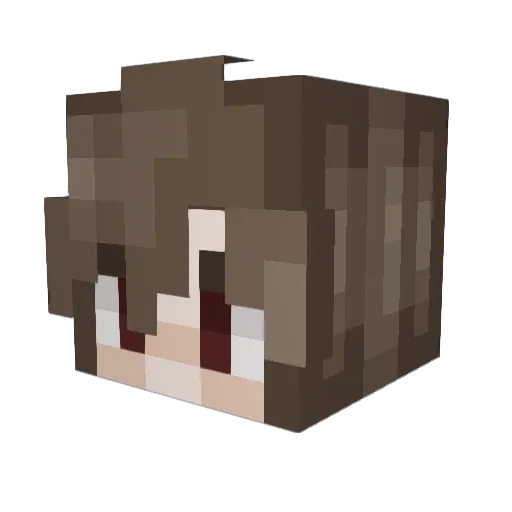 zok__ Minecraft avatar head, 3D render