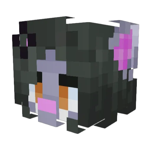 zola_cola Minecraft avatar head, 3D render