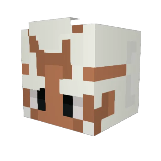 zolata Minecraft avatar head, 3D render