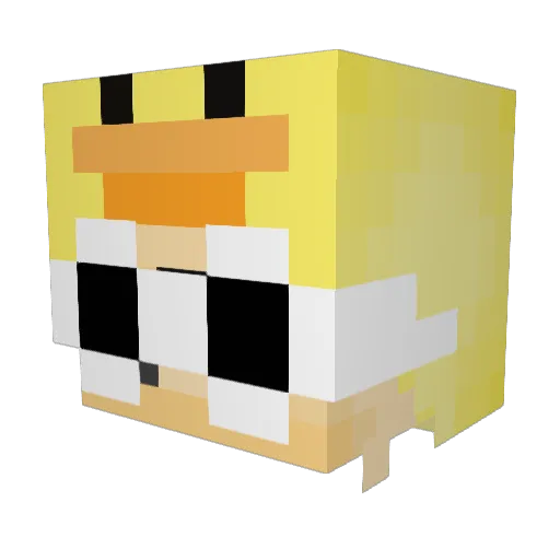 zoltytypek Minecraft avatar head, 3D render