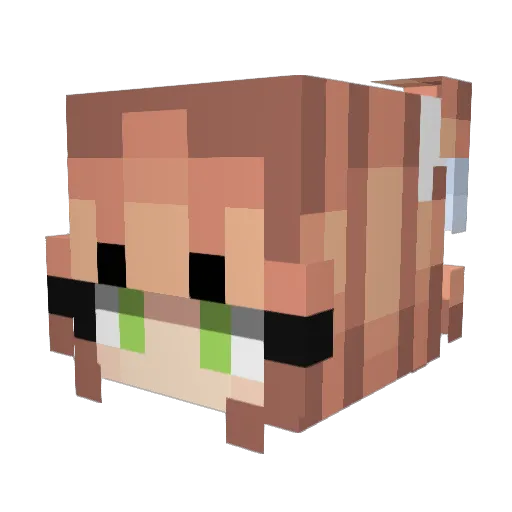 zombeez007 Minecraft avatar head, 3D render