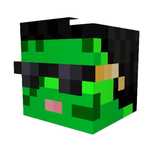 zombieRabbidz Minecraft avatar head, 3D render