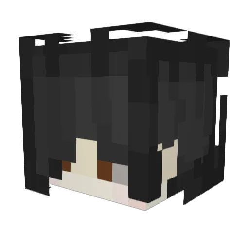 zombie_heartz Minecraft avatar head, 3D render