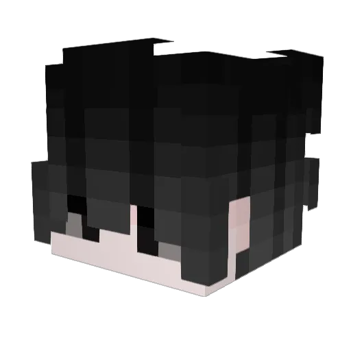 zombie_killer123 Minecraft avatar head, 3D render