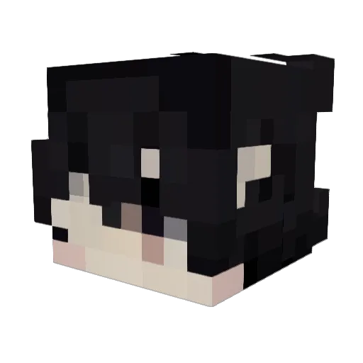 zombiedd_ Minecraft avatar head, 3D render