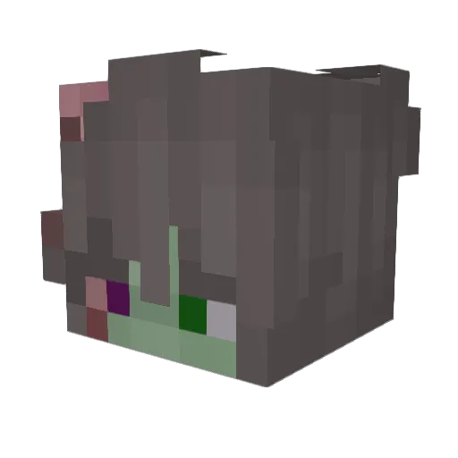 zombiedoggies Minecraft avatar head, 3D render