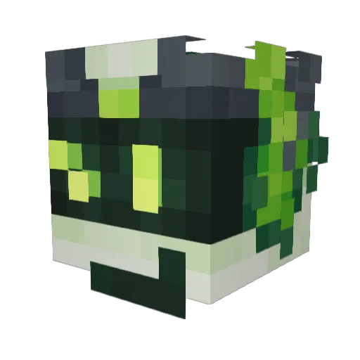 zombiefan22 Minecraft avatar head, 3D render