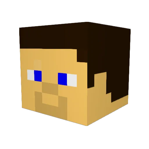 zombiekid3108 Minecraft avatar head, 3D render