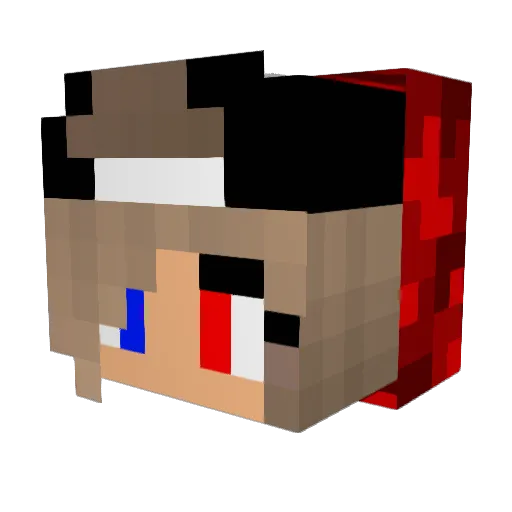zombiekillers25 Minecraft avatar head, 3D render
