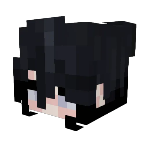 zombienoscoper Minecraft avatar head, 3D render