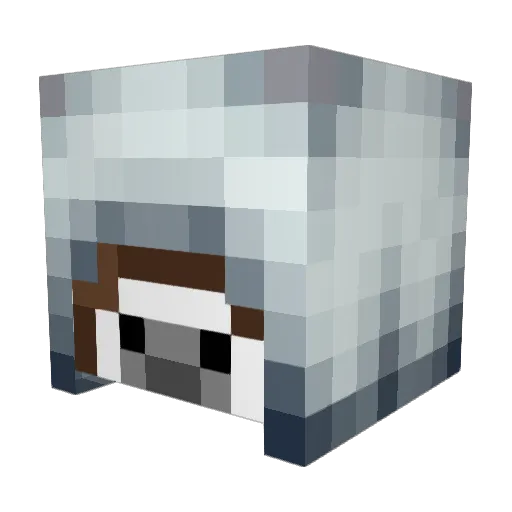 zombieslayer2007 Minecraft avatar head, 3D render