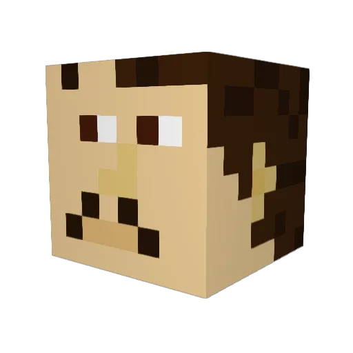 zombiesquisher Minecraft avatar head, 3D render
