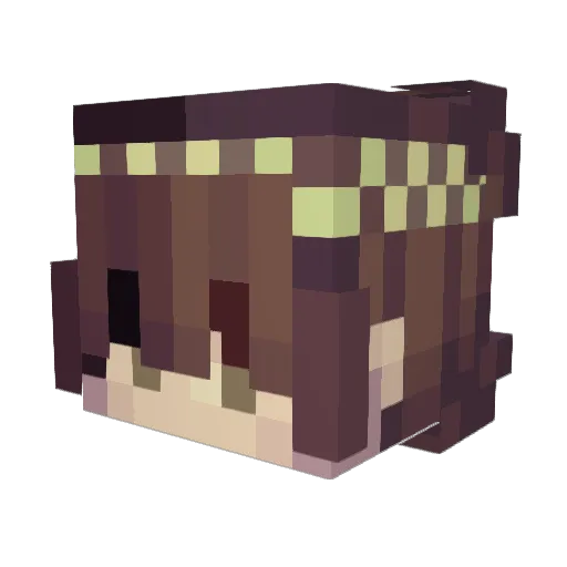 zombiezcake Minecraft avatar head, 3D render