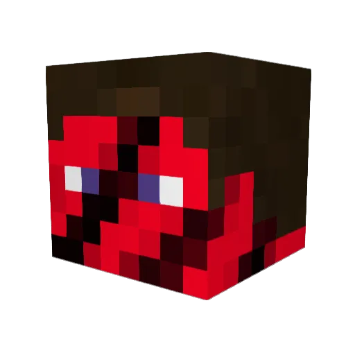 zombiii95 Minecraft avatar head, 3D render