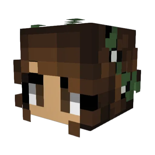 zomer444 Minecraft avatar head, 3D render