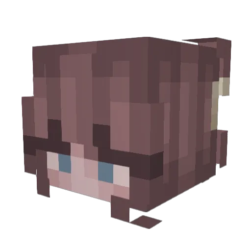 zomerzonnetje Minecraft avatar head, 3D render