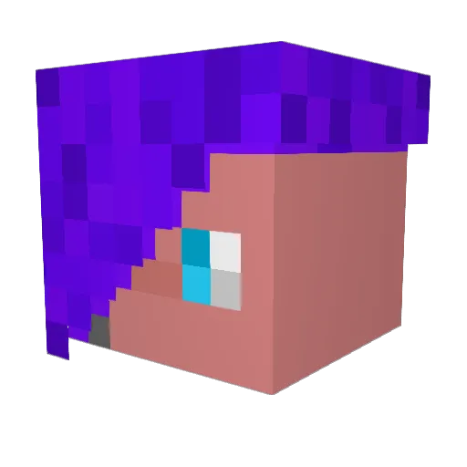 zompig1 Minecraft avatar head, 3D render