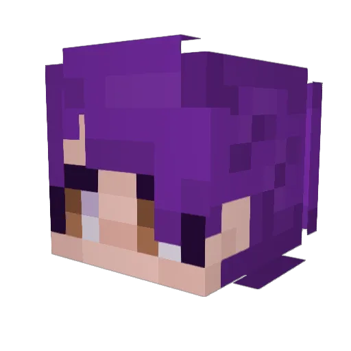 zonbimaru Minecraft avatar head, 3D render