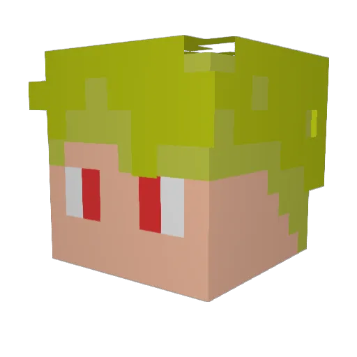 zonbisamarg Minecraft avatar head, 3D render