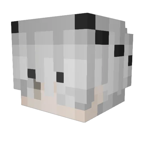 zonedd Minecraft avatar head, 3D render