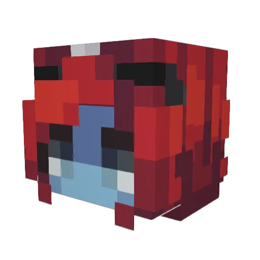 zonkerboy Minecraft avatar head, 3D render
