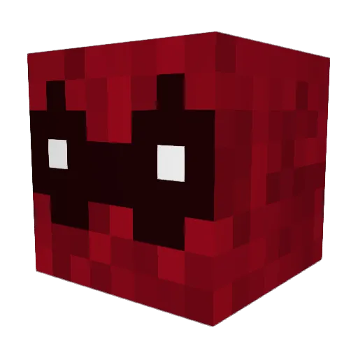 zoodle1 Minecraft avatar head, 3D render