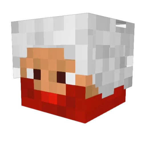 zookeenie Minecraft avatar head, 3D render