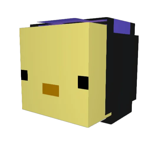 zooki202 Minecraft avatar head, 3D render