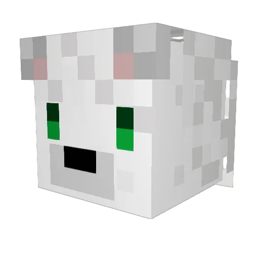 zoolon88 Minecraft avatar head, 3D render