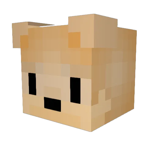 zoomer20 Minecraft avatar head, 3D render