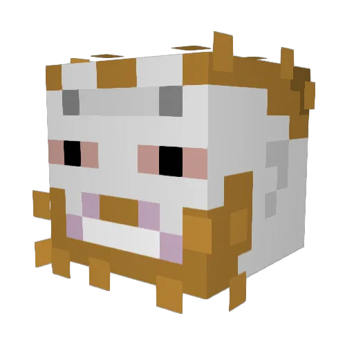 zoomer_coomer Minecraft avatar head, 3D render