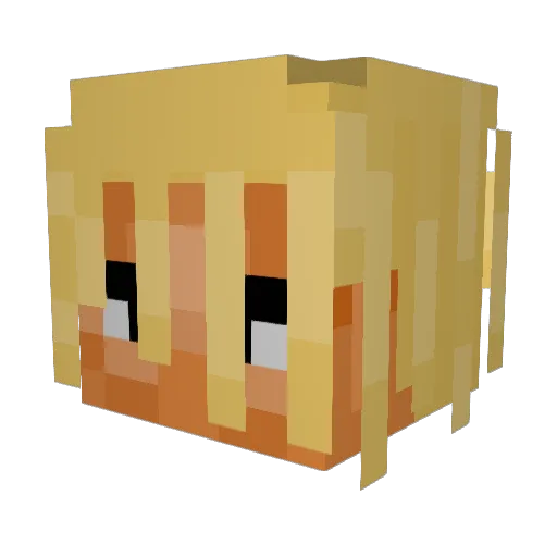zoomyXX Minecraft avatar head, 3D render