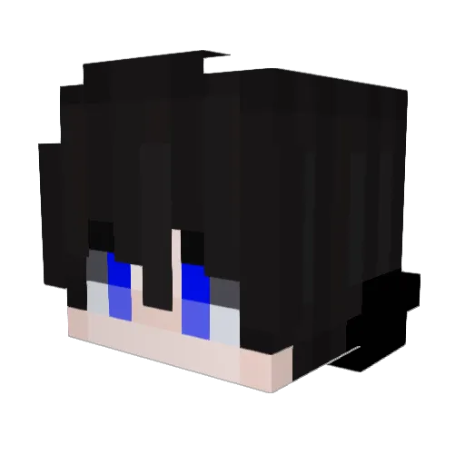 zoop_ooz Minecraft avatar head, 3D render