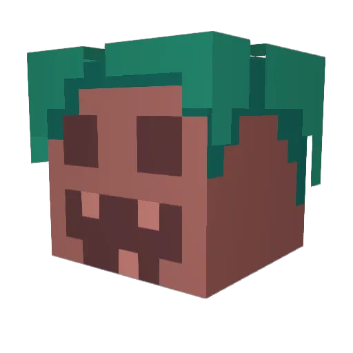 zoopee Minecraft avatar head, 3D render