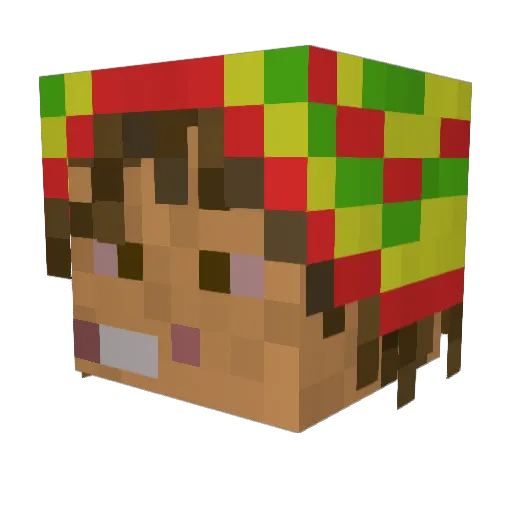 zoorgus Minecraft avatar head, 3D render