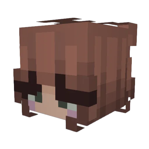 zora7bts_ Minecraft avatar head, 3D render