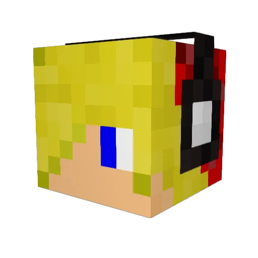 zorlax98 Minecraft avatar head, 3D render