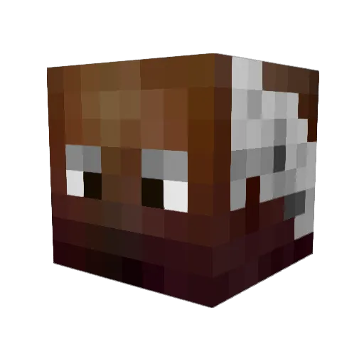 zorlocknight Minecraft avatar head, 3D render