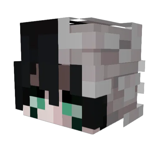 zoro_8 Minecraft avatar head, 3D render