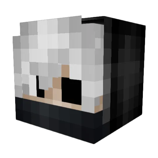 zoroark11 Minecraft avatar head, 3D render