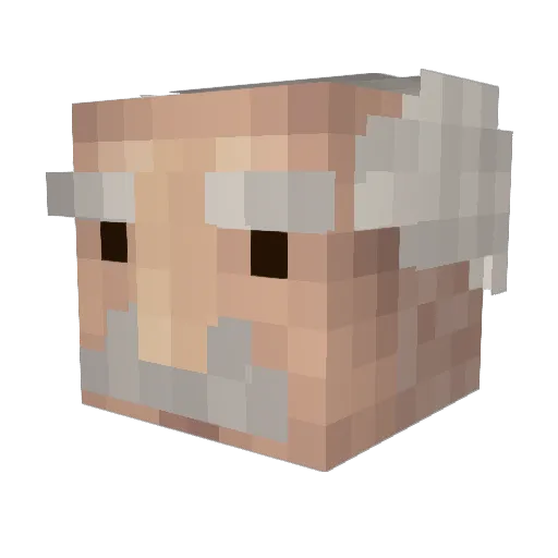 zosiol Minecraft avatar head, 3D render