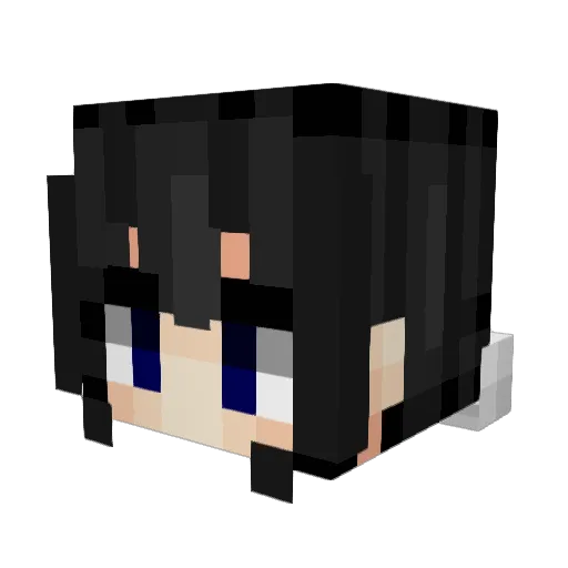 zotgu Minecraft avatar head, 3D render
