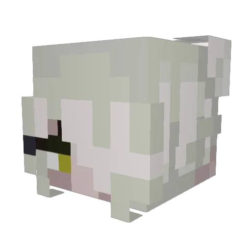 zoubek2003 Minecraft avatar head, 3D render