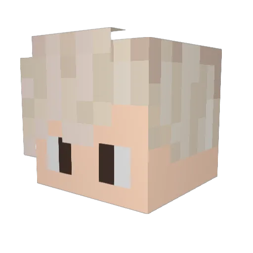 zouzou44 Minecraft avatar head, 3D render