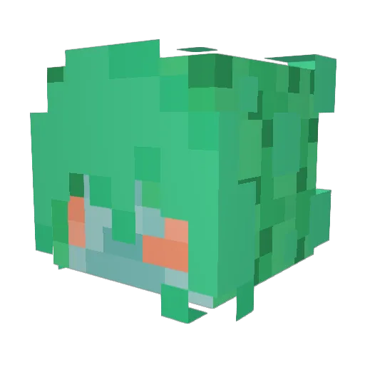 zoweybunny Minecraft avatar head, 3D render