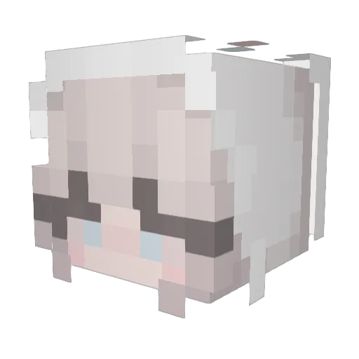 zozeebozeee Minecraft avatar head, 3D render