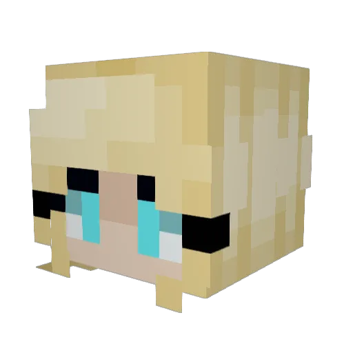 zozo3012 Minecraft avatar head, 3D render