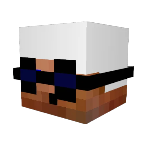 zpress123 Minecraft avatar head, 3D render